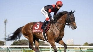 【菊花賞展望】阪神で行われるクラシック最終戦、好走の条件とは