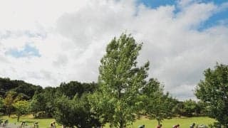 三菱地所おおいたアーバンクラシック