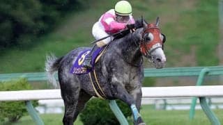 ダート競馬の祭典・JBC　出走馬の選定方法に一考の余地あり