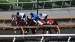 コントレイル、天皇賞・秋1週前追い切り速報/栗東トレセンニュース