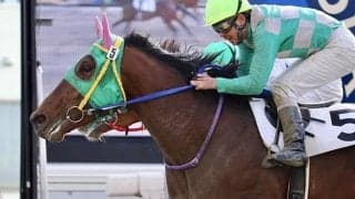 【門別競馬情報】JRAから転入3連勝の3歳馬フレーズメーカー、王冠賞2着クラウォーら実績上位馬らも撃破できるか注目の一戦「えりもオープン」/地方競馬情報