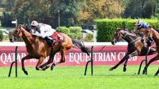 【JRA】エリザベス女王杯の外国馬出走はなし