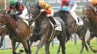 【AI予想】勢いのある馬を素直に重視すべき菊花賞でAIが選んだ上位2頭は？