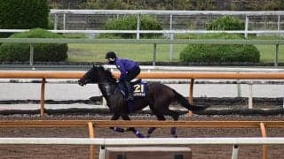 【菊花賞「見逃せない調教師」ベスト3】阪神芝2400m以上で驚異の複勝率70％超！ 菊花賞で絶対外せないのはこの調教師