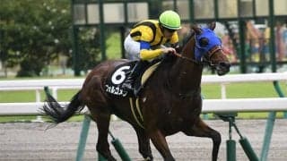 【富士S「見逃せない調教師」ベスト3】東京芝1600mでは2位にダブルスコアの20勝。馬券的に外せないのはこの調教師だ！