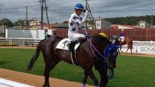 【門別競馬情報】重賞2連勝なるか、ビッグレッドファーム生産・所有馬コスモポポラリタ！ 距離クリアで3連勝めざすローズティアラや、カーロデスティーノの巻き返しにも注目「第9回ブロッサムカップH2」/地方競馬情報