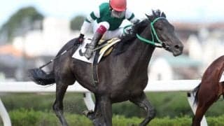 【浦和・新鋭特別結果】今野忠成騎手騎乗のディープインパクト産駒ライアンが勝利