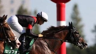 【次走】デビュー2連勝のセリフォスはデイリー杯2歳Sから朝日杯FSへ