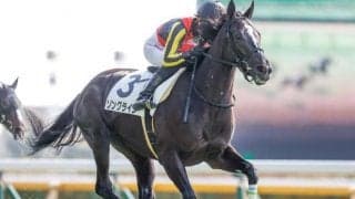 【富士S出走馬・騎手確定】ソングライン＆池添謙一騎手、ダノンザキッド＆川田将雅騎手など17頭