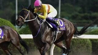 【次走】コパノキッキングはJBCスプリント回避　来年のサウジ連覇を目標