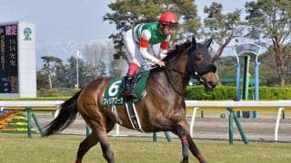 【JRA】2019年フェアリーSの覇者フィリアプーラがノーザンFで繁殖入りへ