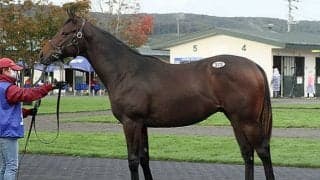 年間総売上げは145億3859万円と過去最高をマーク　活況を呈した一方で…