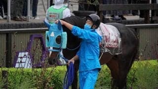 【次走】オジュウチョウサンは放牧へ　和田師「中山大障害には間に合う感触あります」