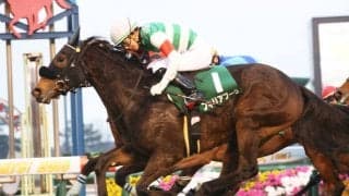 フィリアプーラが競走馬登録抹消