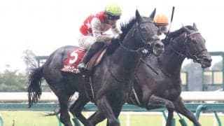 【菊花賞】出走馬の調教後の馬体重