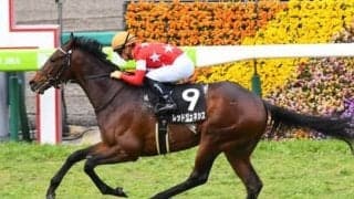 菊花賞は血統と臨戦過程を重視。穴候補はディープ産駒と２勝クラスを勝ってきた３頭