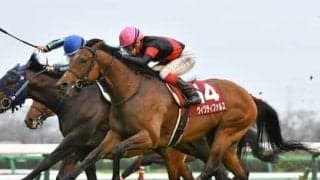 菊花賞は血統から長距離適性を分析。今後の急成長も期待できる２頭は？