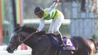 「ウマ娘」でも人気キャラ、菊花賞を制した名馬たち。魅力あふれる名レースを振り返る