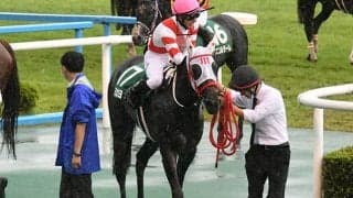 【JRA】熊本産馬ヨカヨカが登録抹消、北海道のサンデーヒルズで繁殖馬に
