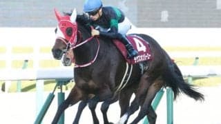 【ブリーダーズカップ】3競走の勝馬投票券発売が決定　ラヴズオンリーユーなどが出走予定