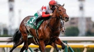 【富士S前日オッズ】ダノンザキッドが3.5倍で1番人気、ロータスランドが差なく続く