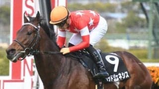 【菊花賞前々日オッズ】レッドジェネシスが1.8倍で1番人気に推される