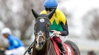 【菊花賞出走馬・馬名由来】タイトルホルダーは「選手権保持者」アサマノイタズラは「浅間のいたずら」