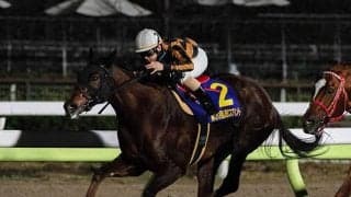 【JBCスプリント出走予定馬】連覇狙うサブノジュニア、昨年4着のモズスーパーフレアなど