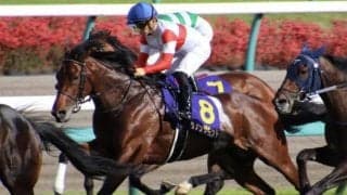 【富士S予想】秋のマイル王座獲得へ 実力馬集結の前哨戦