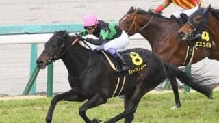 阪神開催の菊花賞は脚質がポイント。穴党記者が推すのは驚きの伏兵２頭