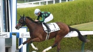 【阪神4R新馬戦結果】米国産馬ペルアアが逃げ切って人気に応える