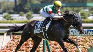 【アルテミスS想定】新馬戦圧勝、エピファネイア産駒のフォラブリューテ・ミントなど12頭