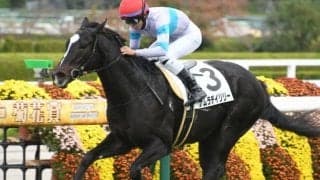 【阪神5R新馬戦結果】ナムラデイリリーがロケットスタートから押し切りV