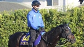 【菊花賞】ディープモンスター陣営「内目の枠で良かった」/ねぇさんのトレセン密着