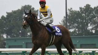 【スワンS想定】GI馬4頭含む17頭　ステルヴィオ、ダノンファンタジー、セイウンコウセイ、タイムフライヤーなど