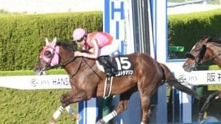 【大阪スポーツ杯結果】ウルトラマリンが逃げ切ってオープン初V、牝馬のワンツー