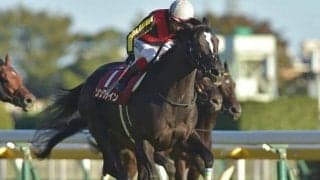 【富士S結果】3歳牝馬ソングラインが追い比べから抜け出し重賞初制覇！いざGIへ