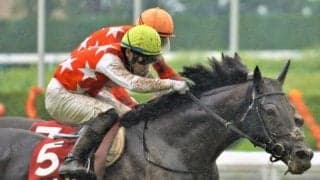 【菊花賞前日オッズ】ステラヴェローチェが4.1倍で1番人気、4頭が10倍を切る