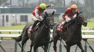 【WIN5予想】菊花賞は皐月賞以降の実績に注目したい