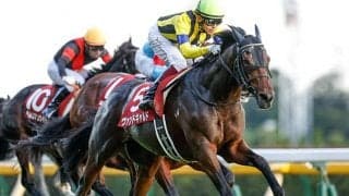 ブリーダーズカップに出走予定の日本馬3頭がアメリカに到着