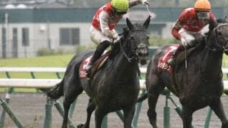 【菊花賞予想】ダービーの結果は度外視!? 有力候補に不安点も…/JRAレース展望