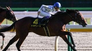 【アイビーS】武豊 ドウデュースがデビュー2連勝