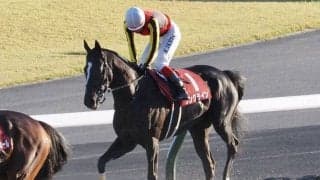 【富士S】池添謙「正直負けられないレース」ソングラインが重賞初制覇