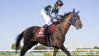 【本日の注目ポイント】阪神でクラシック最終戦・菊花賞