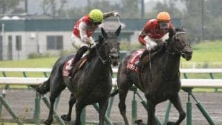 【菊花賞予想】クラシック最終戦、京都と大きく異なる阪神コースがポイントに