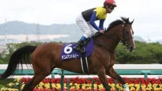 急きょデビューが延期になったダノンギャラクシー。その判断に見る陣営の評価