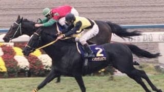 菊花賞のサイン馬券は眞子さまのご結婚、さらにポスターとマンハッタンカフェにヒントあり!?