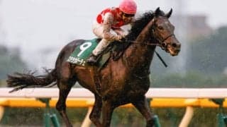 【菊花賞予想】AIがラスト一冠で最上位評価したのは春の雪辱を果たしたいステラヴェローチェ