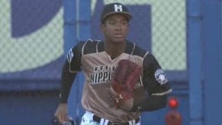 新スター候補は「ポテンシャルお化け」　フェンス激突ジャンピング好捕に高まる期待