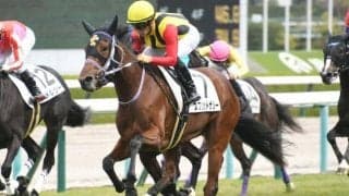 【阪神4R新馬戦結果】スプリットザシーが差し切って新馬勝ち